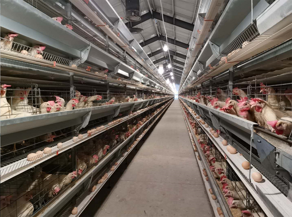 1600243941817001374.jpg 44.jpg