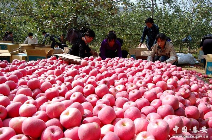 1600243957358052415.jpg 33.jpg